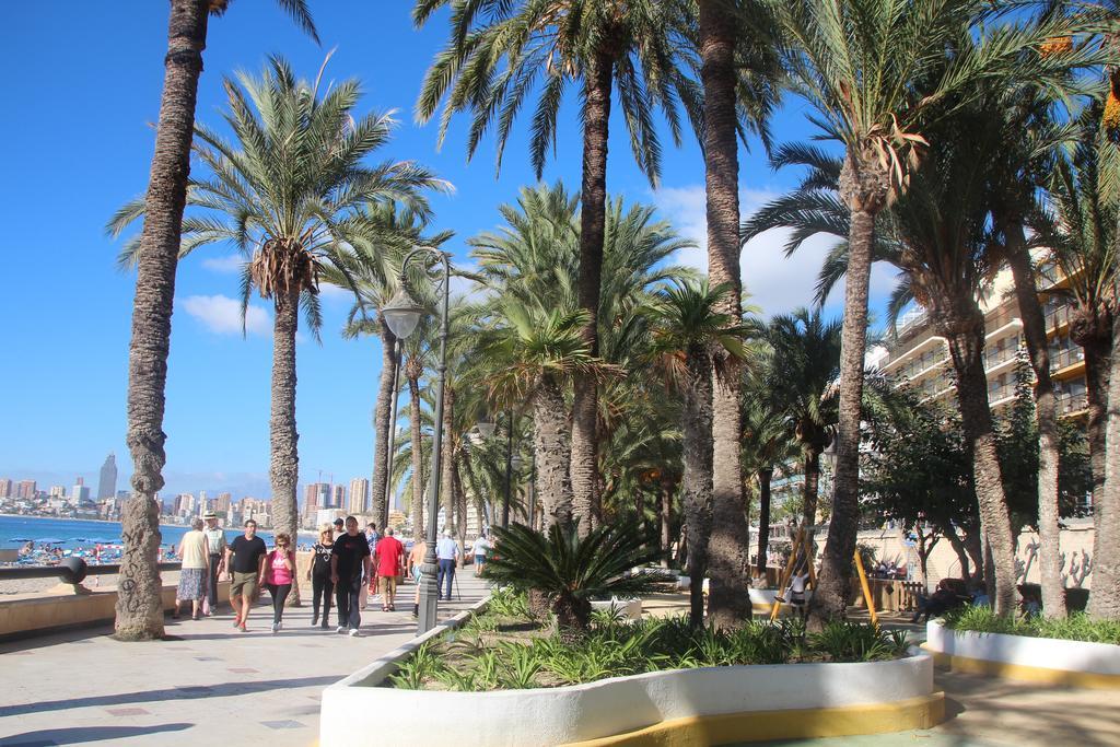 Muchosol Apartamento Benidorm Exterior foto